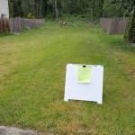 The common space on 13th Place lays vacant before Denise and her neighbors start a community garden. Photo courtesy of Denise Tarter