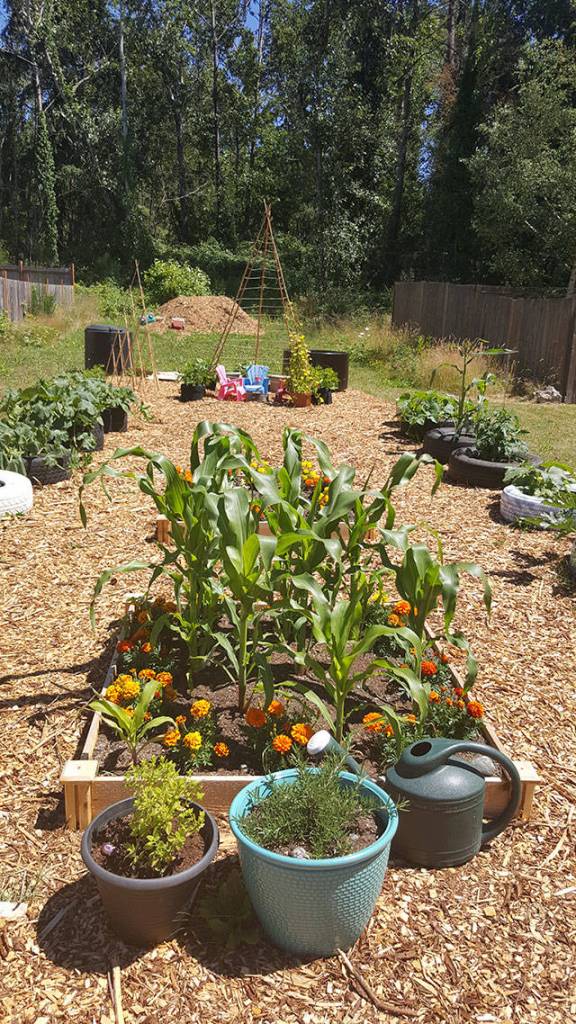A look at the 13th Place Garden after Denise and her neighbors complete the project. Photo courtesy of Denise Tarter