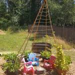 The bean teepee will eventually offer a hiding place for local kids to play in at the 13th Place Garden. Photo courtesy of Denise Tarter