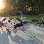 A group of F3 members perform Handslap Merkins as they wait for the other group to return from a run around the parking lot. Photo Courtesy of Brian Dilfer Gawthrop