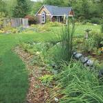 This is one example of a completed rain garden, established at a home in Monroe. (Snohomish County)