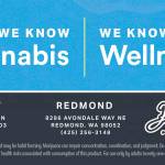 The Benefits of CBD for Older Adults