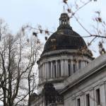 Said Farzad reportedly called in numerous bomb threats to state agency offices in Olympia. No bombs have been found, but the state agencies are increasing police presence and bomb-sniffing dogs. Reporter File Photo