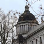Said Farzad reportedly called in numerous bomb threats to state agency offices in Olympia. No bombs have been found, but the state agencies are increasing police presence and bomb-sniffing dogs. Reporter File Photo