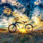 New art exhibit open at Bothell City Hall Gallery