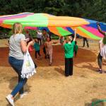 Kenmore mails parks and recreation surveys to some homes