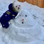 Snow hits lowland areas of King County