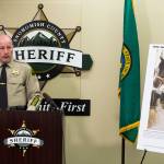 Snohomish County Sheriffs Office Capt. Rob Palmer talks to the media about the arrest of a suspect in the murder of Jody Loomis, a cold case from 1972, at the Snohomish County Courthouse on Thursday, April 11, 2019 in Everett, Wash. It’s the second major cold case that Snohomish County detectives say they’ve solved with the help of genetic genealogy. (Andy Bronson / The Herald)