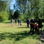 The nature walk at Wallace Swamp Creek explores two miles of paved and primitive trails through the 25 acres of the park. Photo courtesy of city of Kenmore