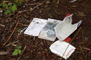 ‘Gloves off’ for SnoCo Ash Way encampments