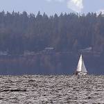 Upon further review, EPA wants to redo water quality rules