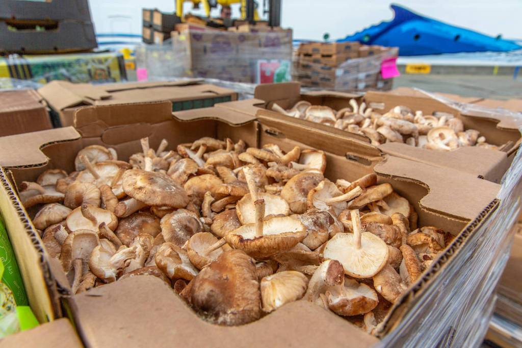 Suppliers from across the state, including seafood and produce companies, florists, farmers, vineyards, and maritime support industries have built strong businesses selling to cruise companies.