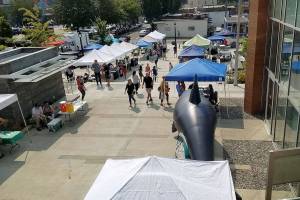 Sustainamania arrives at Bothell City Hall this week