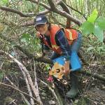 A Day in the Life of an Environmental Intern