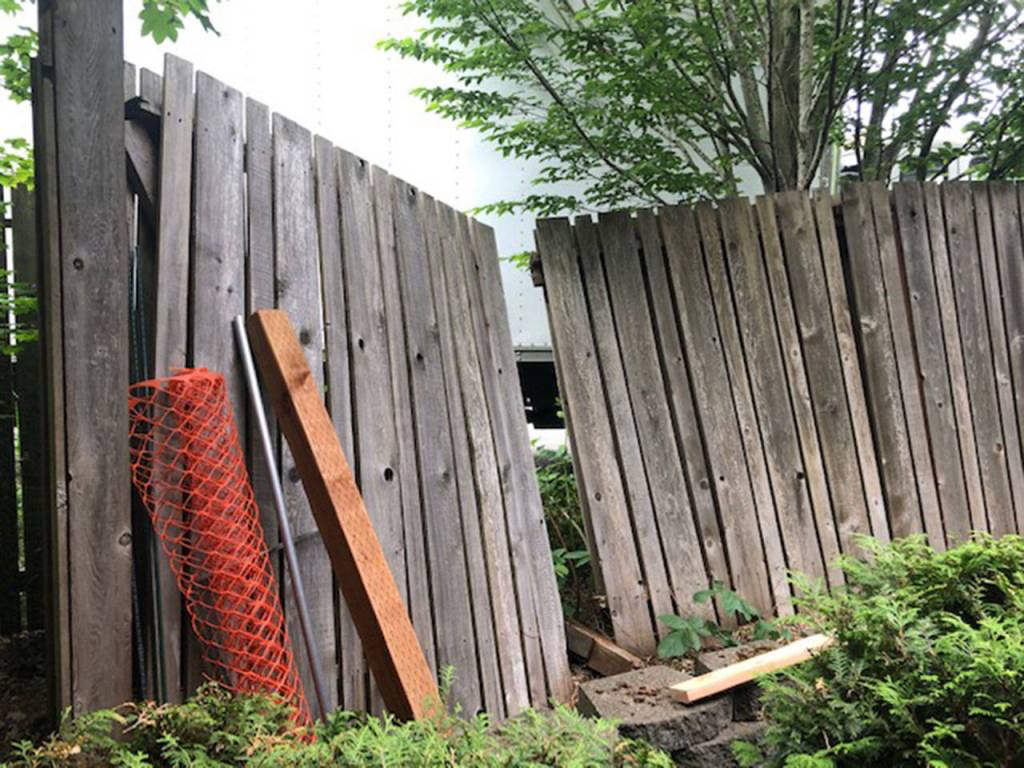 Outdoor maintenance is of concern for the center. Photo courtesy Northshore Senior Center