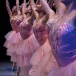 Shot from the Waltz of the Flowers segment. Photo courtesy of Wade Heninger