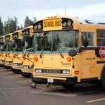 NSD buses. File photo