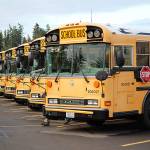 NSD buses. File photo