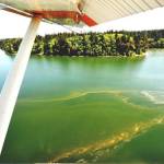 Budd Inlet, June 2018. Lisa Dennis-Perez, environmental planning and communications director for LOTT, said that estimates from the state thought roughly half of all nitrogen in Budd Inlet came from the wastewater discharge before LOTT was upgraded in the 1990s. Photo courtesy of Department of Ecology