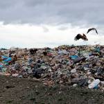 Cedar Hills Regional Landfill. File photo