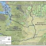 Known wolf packs and single wolf territories in 2021 in Washington. Map does not include unconfirmed or suspected packs, or border packs from other states and provinces. Courtesy of WDFW