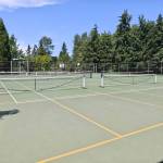 Lake Boren Park in Newcastle with pickleball nets ready to go. Ben Ray / The Reporter