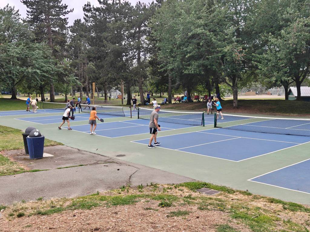 The second set of pickleball courts at Game Farm Park. Ben Ray / The Reporter