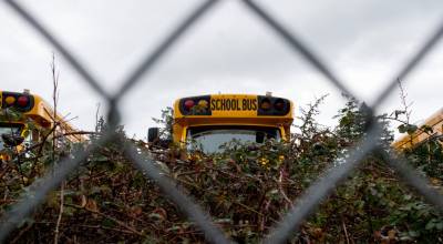 A photograph of school buses used by the Olympia School District taken on Feb.18, 2026. (Moe Clark/InvestigateWest)